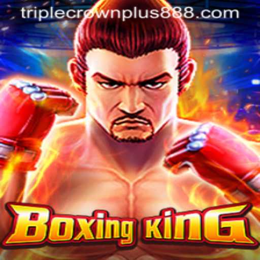 BoxingKing: A New Era in Boxing Gaming with Triple Crown Plus