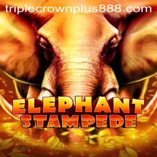 ElephantStampede: Unleashing the Adventure with Triple Crown Plus