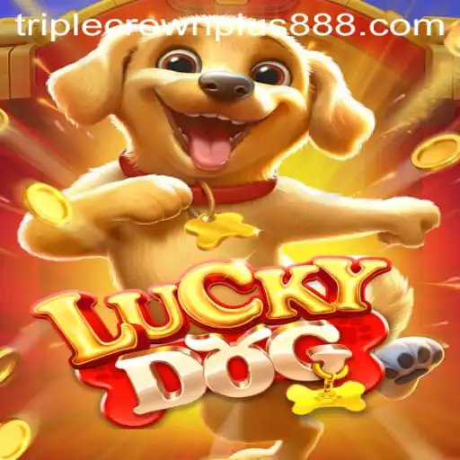 LuckyDog: The Exciting Arena of Triple Crown Plus