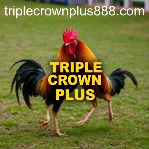 Triple Crown Plus